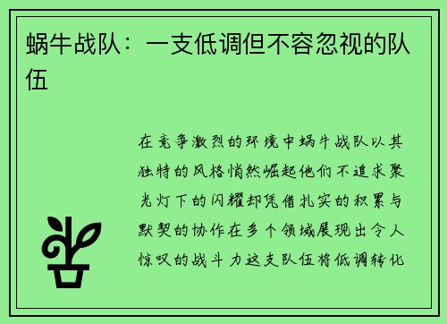 蜗牛战队：一支低调但不容忽视的队伍